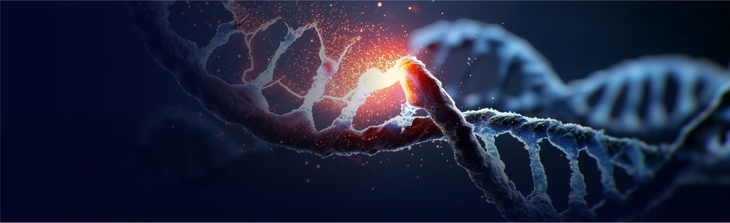 Sequencing & Library Preparation