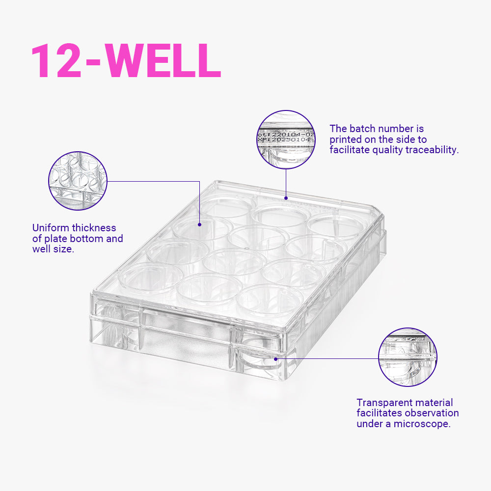 12 Well Cell Culture Plates, TC Treated, Flat Bottom, Sterile, PS