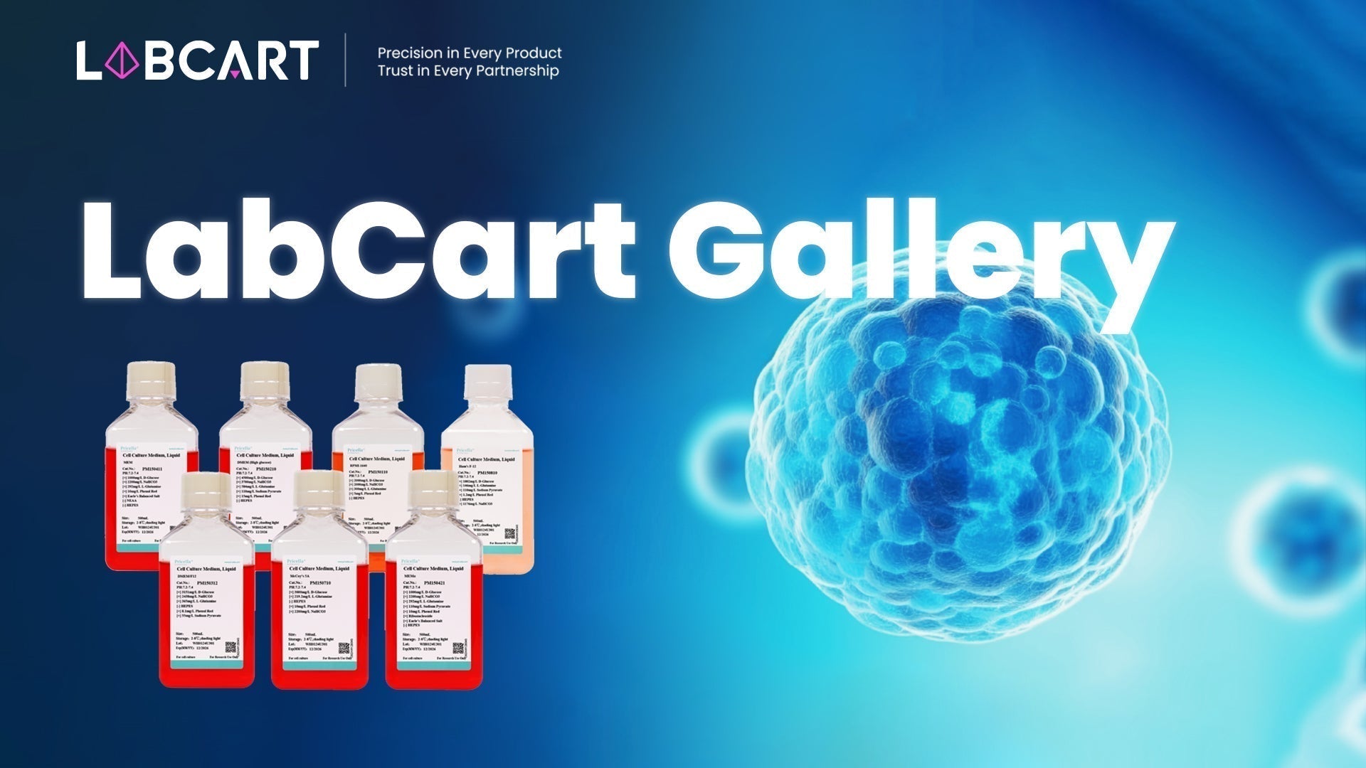 Supporting Breakthroughs in Cell Culture: Pricella Auxiliary Reagents