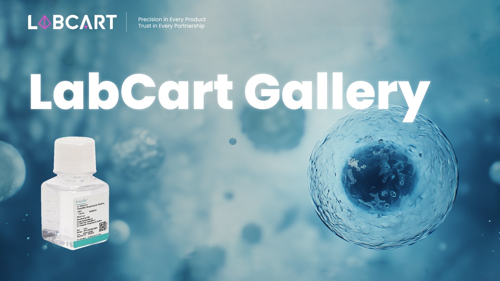 Building a Reliable Foundation: Pricella Classical Basal Media