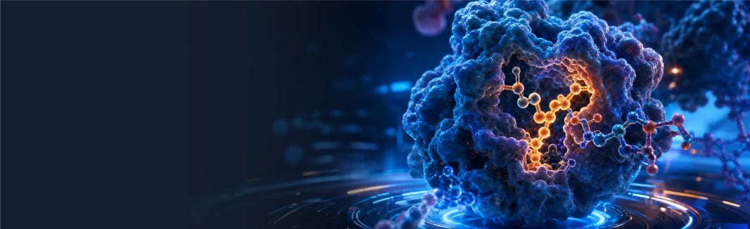 Enzymatic Activity and Functional Studies
