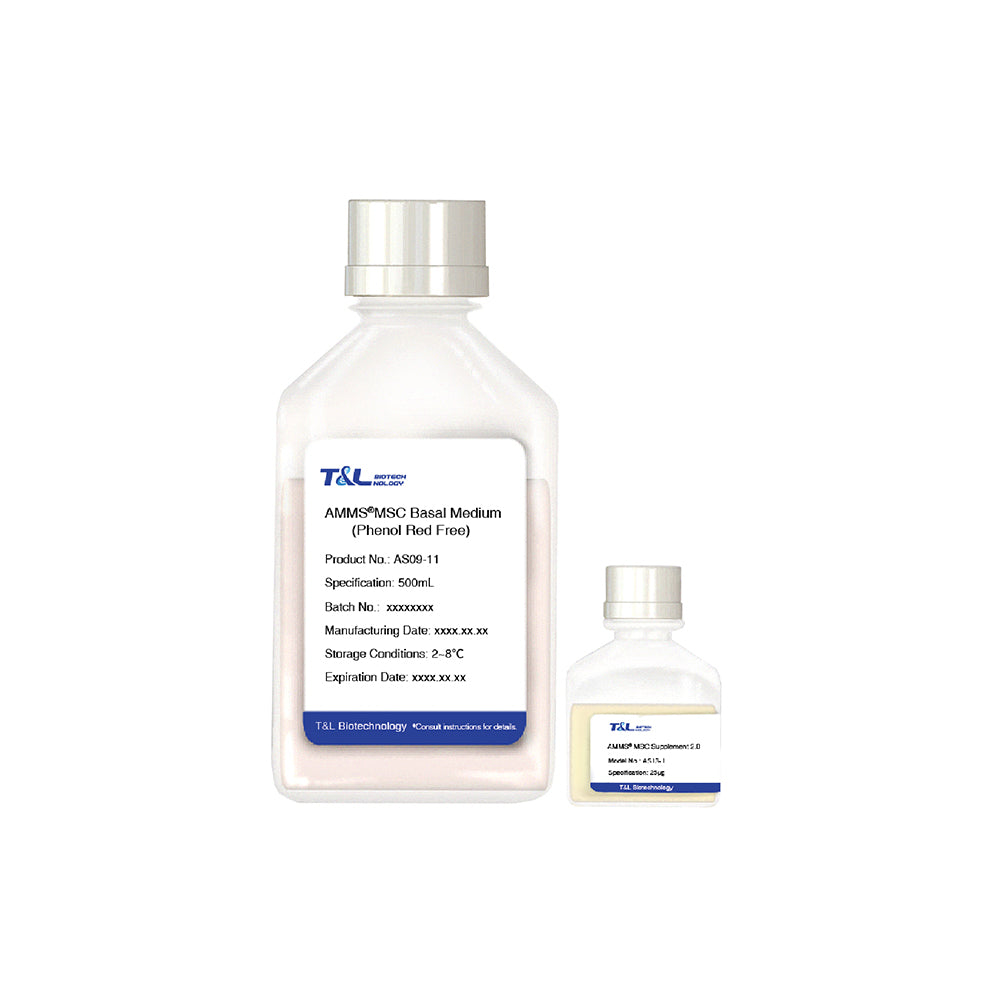 AMMS®MSC Cell Culture Kit 2.0(Phenol red free)