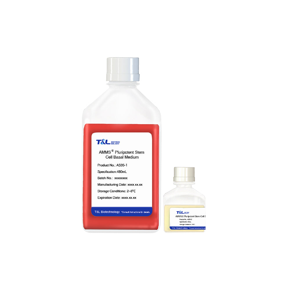AMMS®Pluripotent stem cell culture medium
