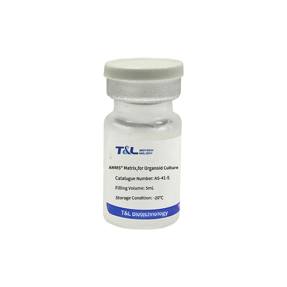 AMMS® Matrix, for Organoid Culture, 5mL