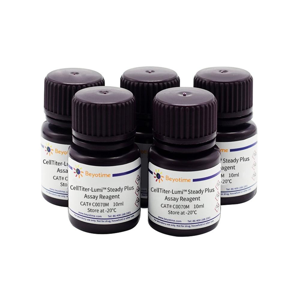 CellTiter-Lumi™ Steady Plus Lumineszenz-Zelllebensfähigkeits-Testkit, 500T
