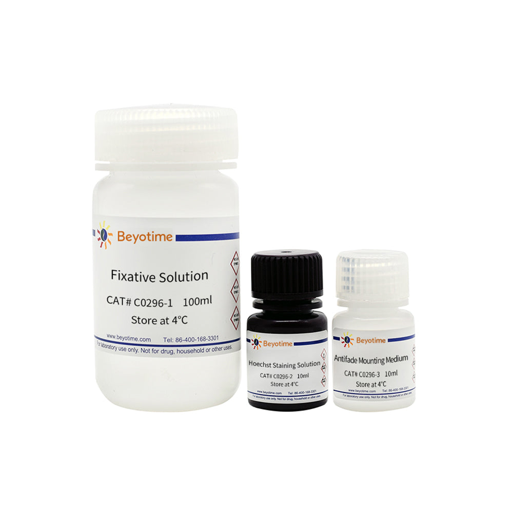 Mycoplasma-Färbetestkit, &gt;100T