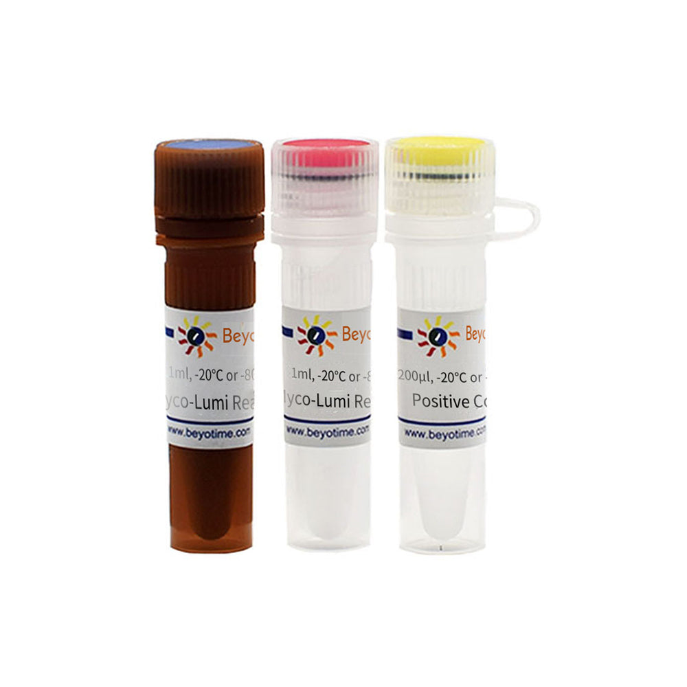Myco-Lumi™ Lumineszierendes Mykoplasma-Erkennungskit für hochempfindliche Instrumente, 20T