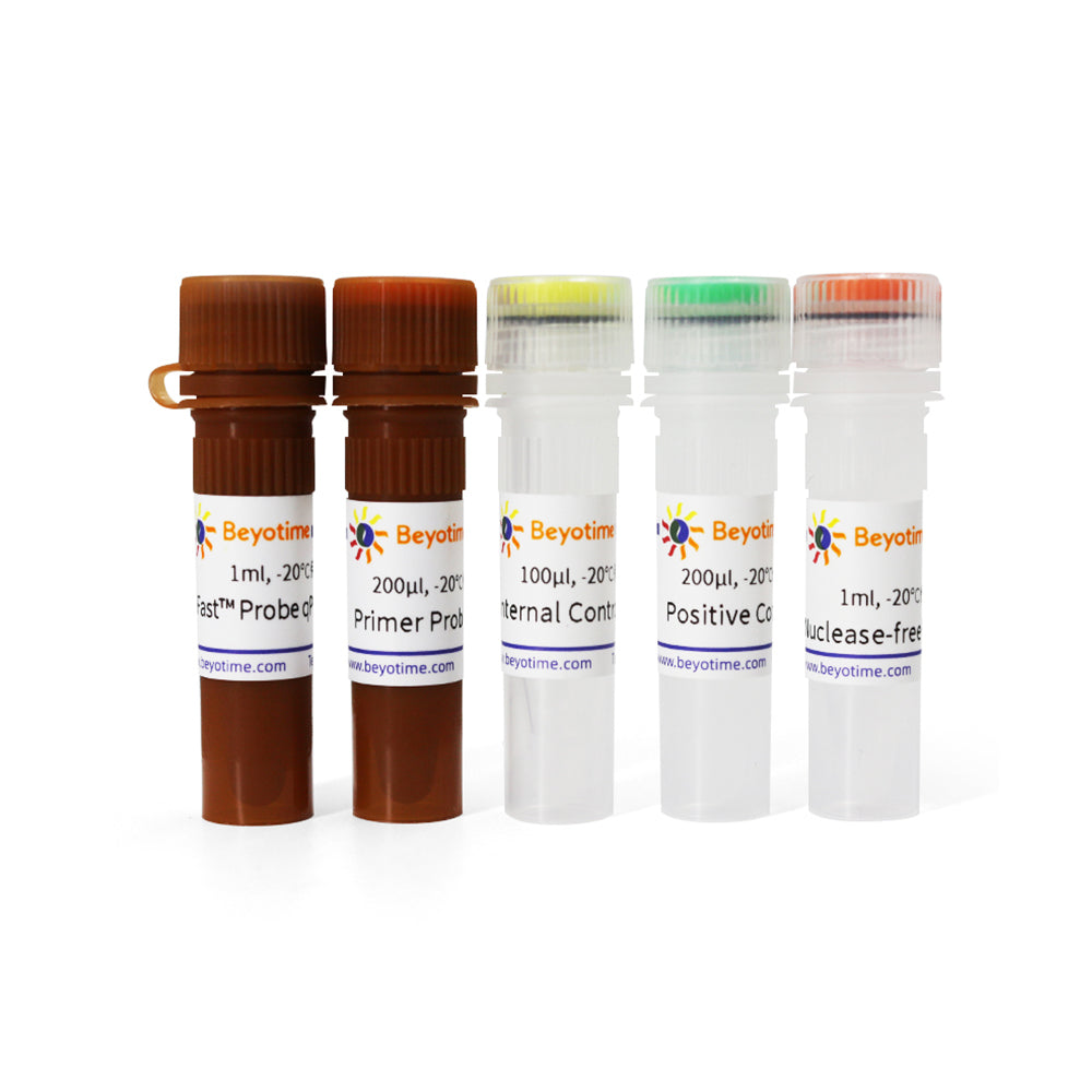 BeyoDirect™ Mycoplasma qPCR-Nachweiskit, 100T