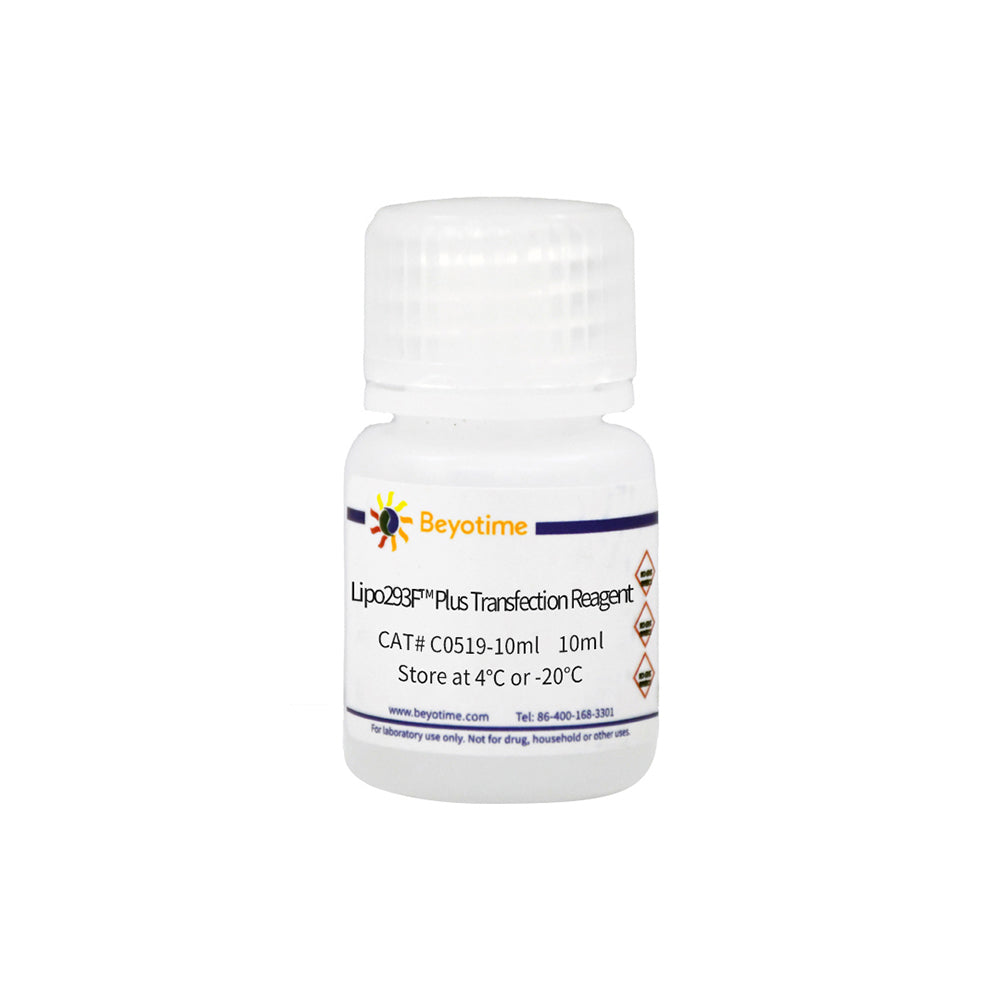 Lipo293F™ Plus Transfektionsreagenz, 10 ml