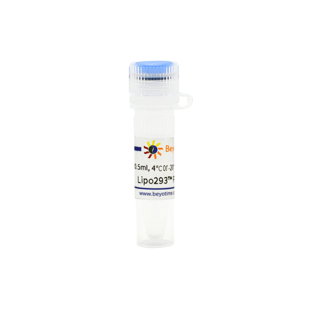 Lipo293™ Plus Transfektionsreagenz, 0,5 ml
