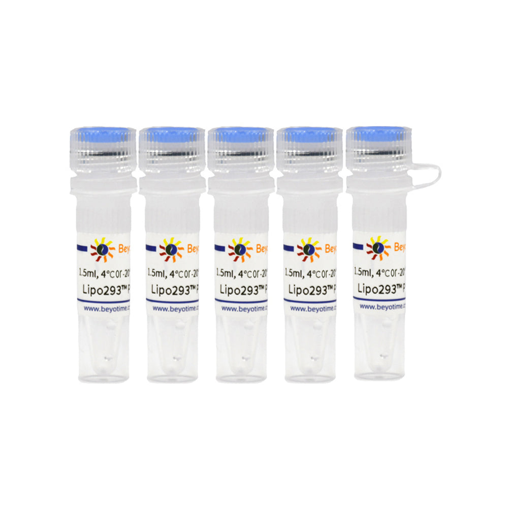 Lipo293™ Plus Transfektionsreagenz, 7,5 ml