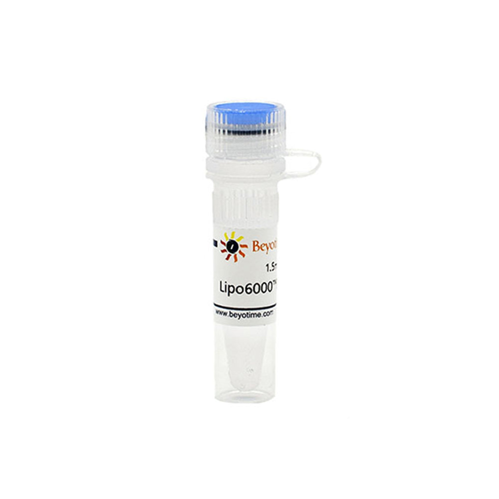 Lipo6000™ Transfektionsreagenz, 1,5 ml