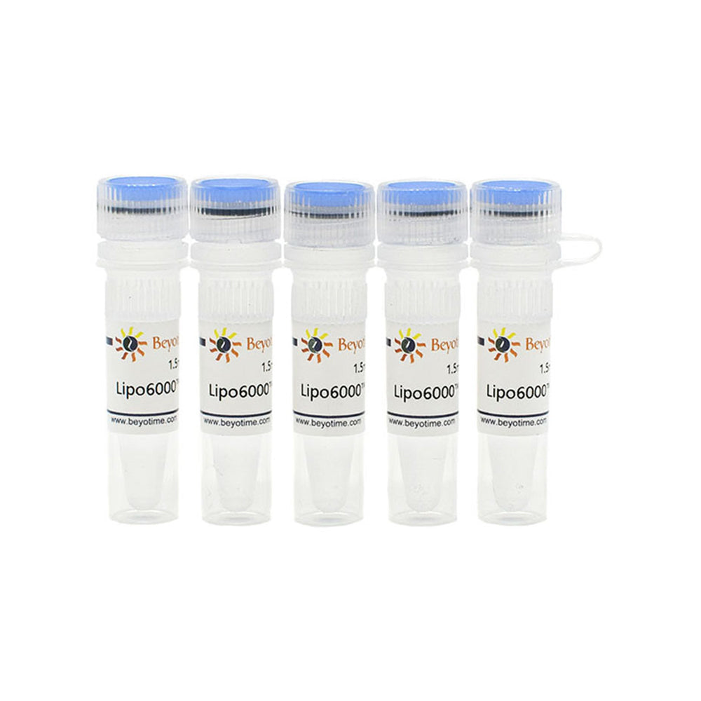Lipo6000™ Transfektionsreagenz, 7,5 ml