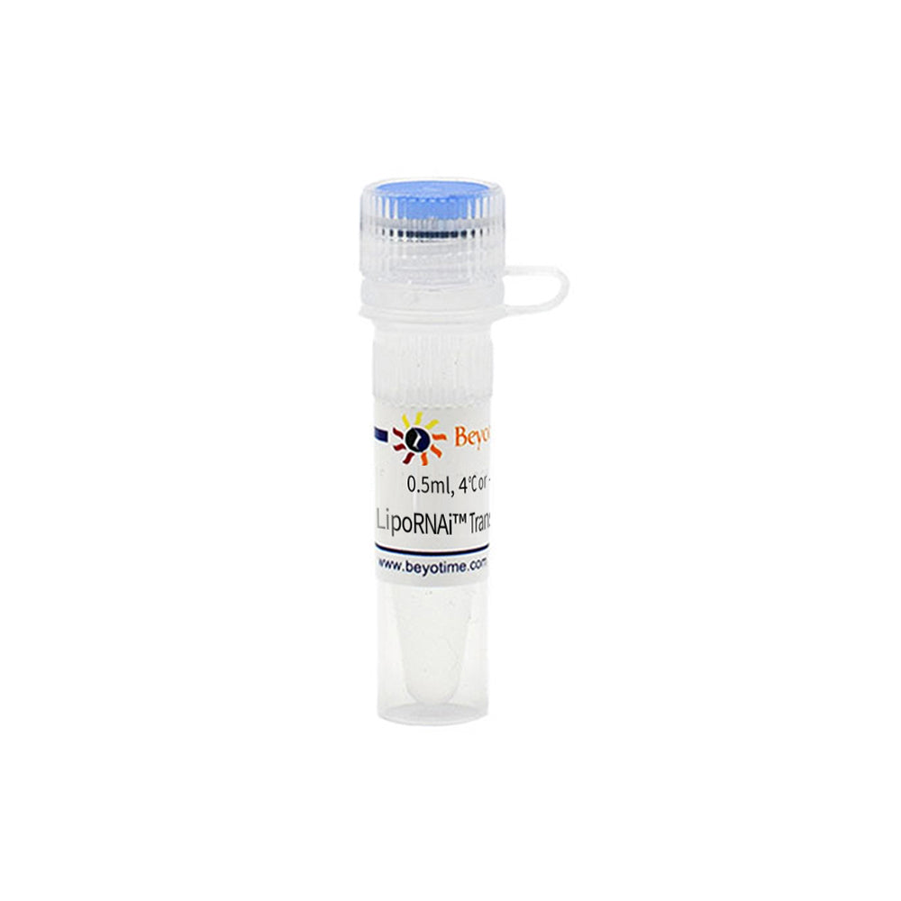 LipoRNAi™ Transfektionsreagenz, 0,5 ml