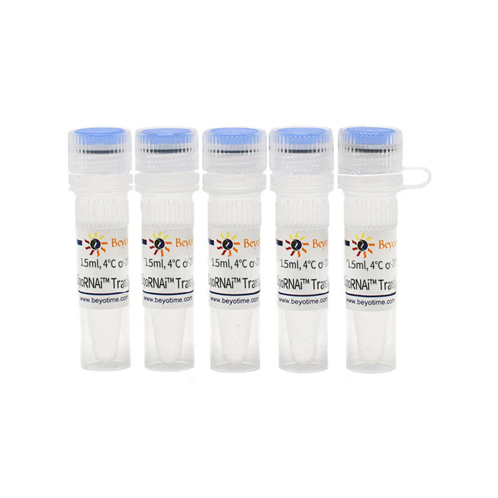 LipoRNAi™ Transfektionsreagenz, 7,5 ml