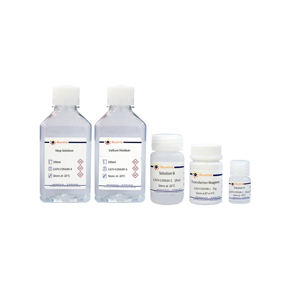Pflanzenprotoplasten-Transfektionskit, 500T