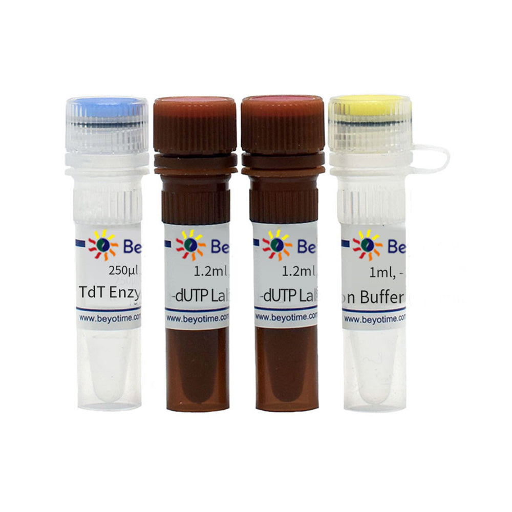 One Step TUNEL Apoptosis Assay Kit (Green Fluorescence), 50T