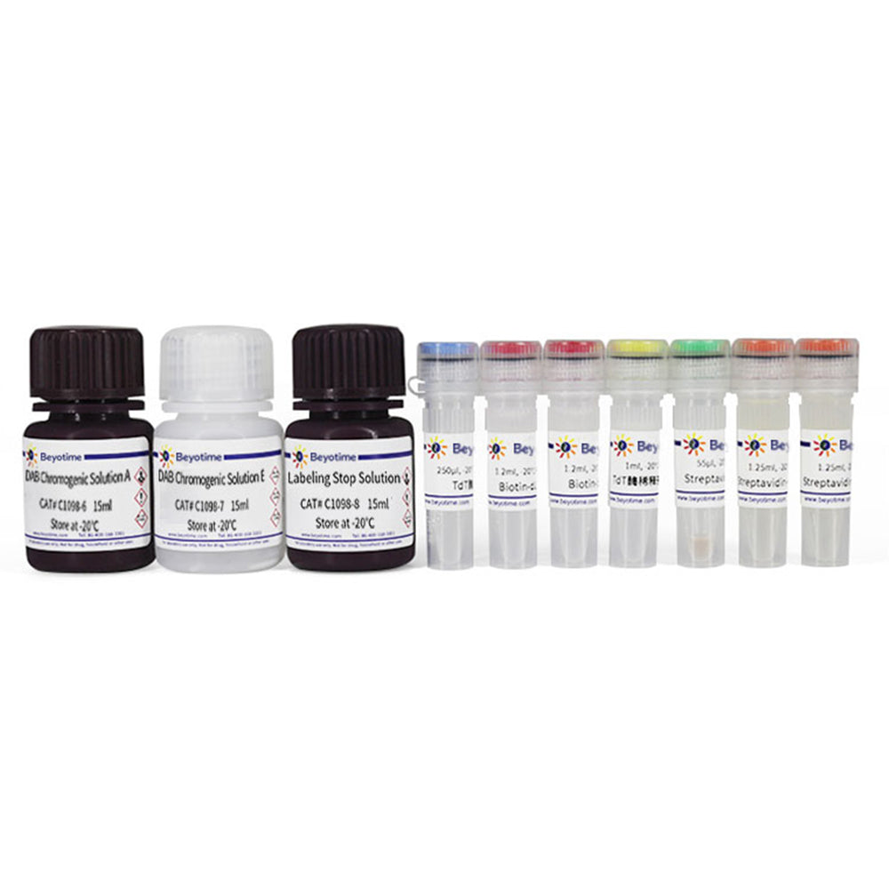 Colorimetric TUNEL Apoptosis Assay Kit, 50T