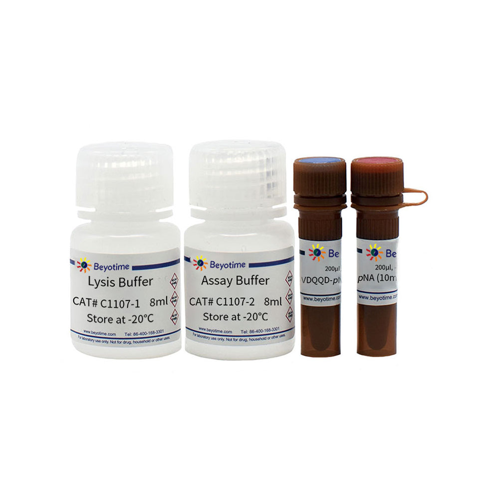 Caspase 2 Aktivitätstestkit, 20T