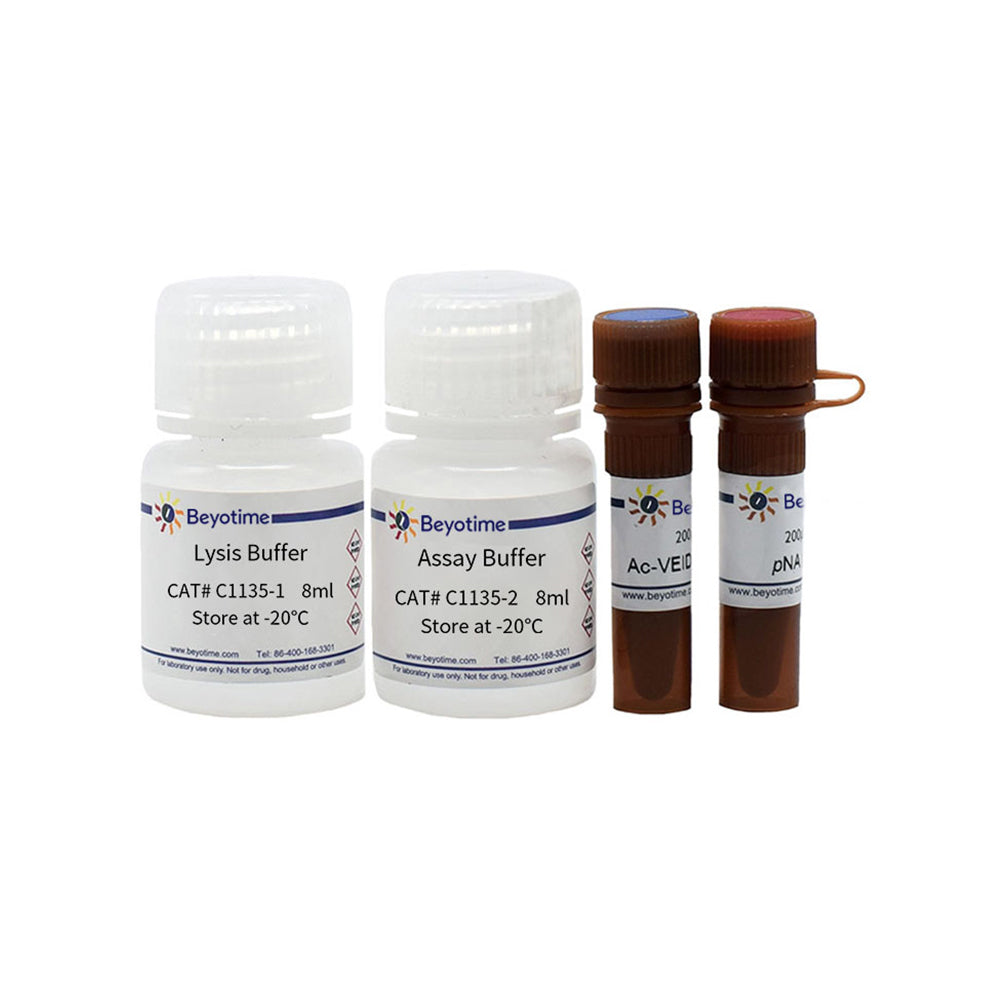 Caspase 6-Aktivitätstestkit, 20T