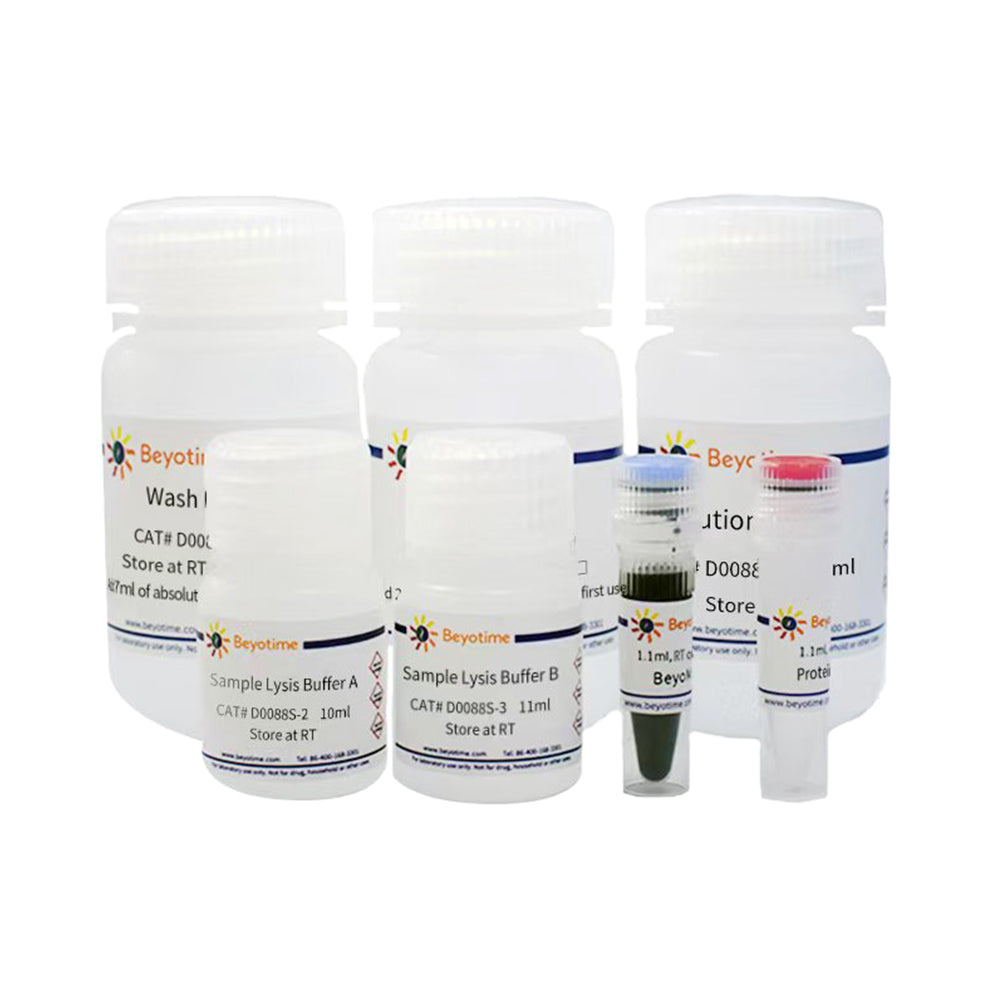 BeyoMag™ Universal Genomic DNA Purification Mini Kit with Magnetic Beads, 50 T