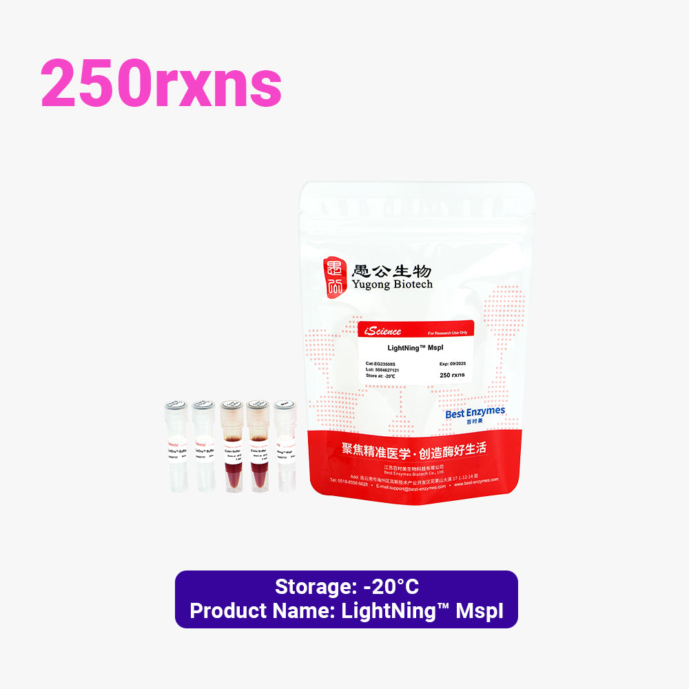 LightNing™ MspI Restriction Enzymes, 250 rxns, 1 rxn/μl