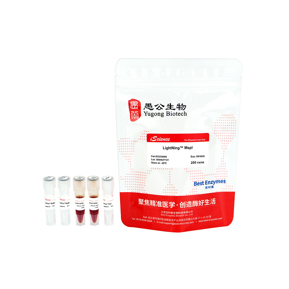 LightNing™ MspI Restriction Enzymes, 250 rxns, 1 rxn/μl