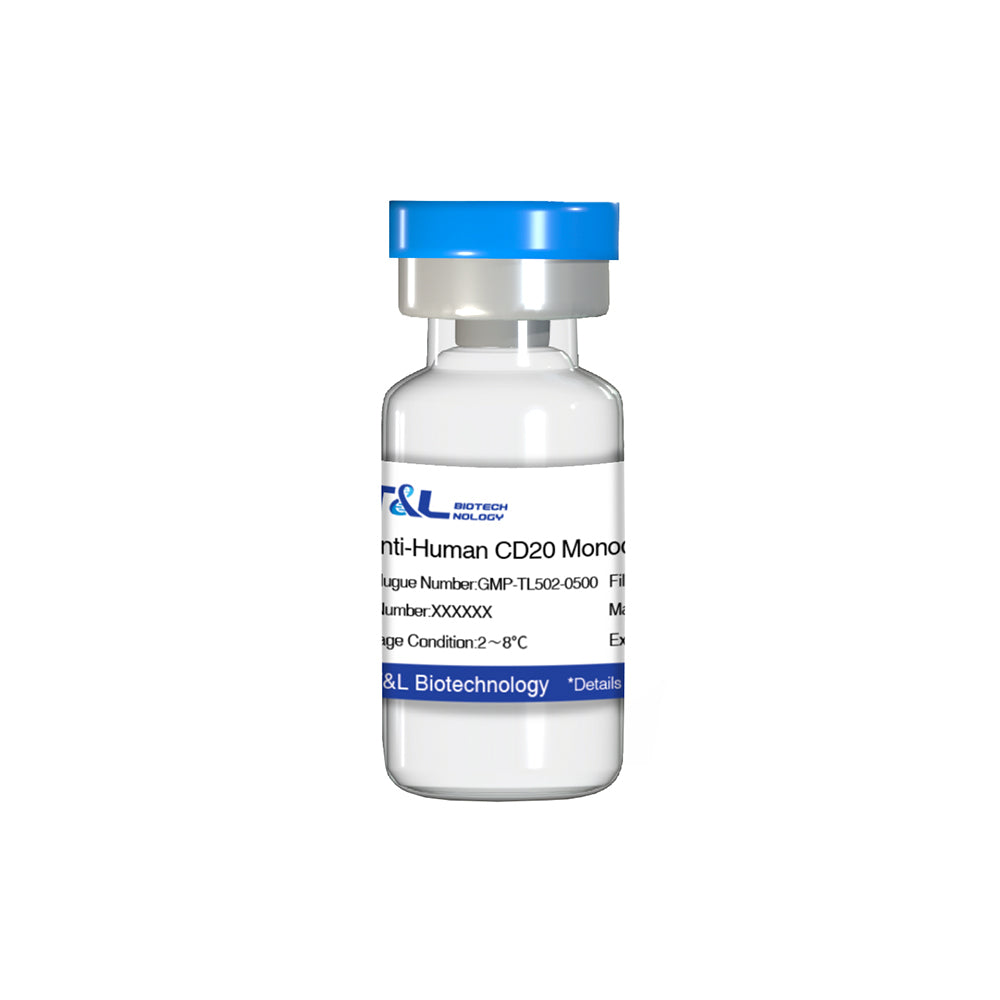 Anti-Human CD20 monoclonal antibody, 500μg