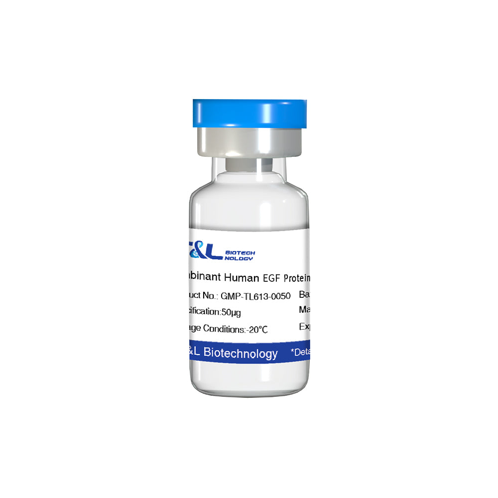 Recombinant Human EGF Protein, 50μg