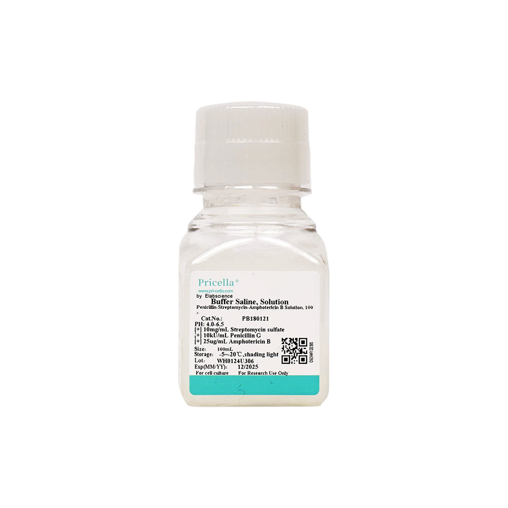 Penicillin-Streptomycin-Amphotericin B-Lösung, 100 ×, 100 ml