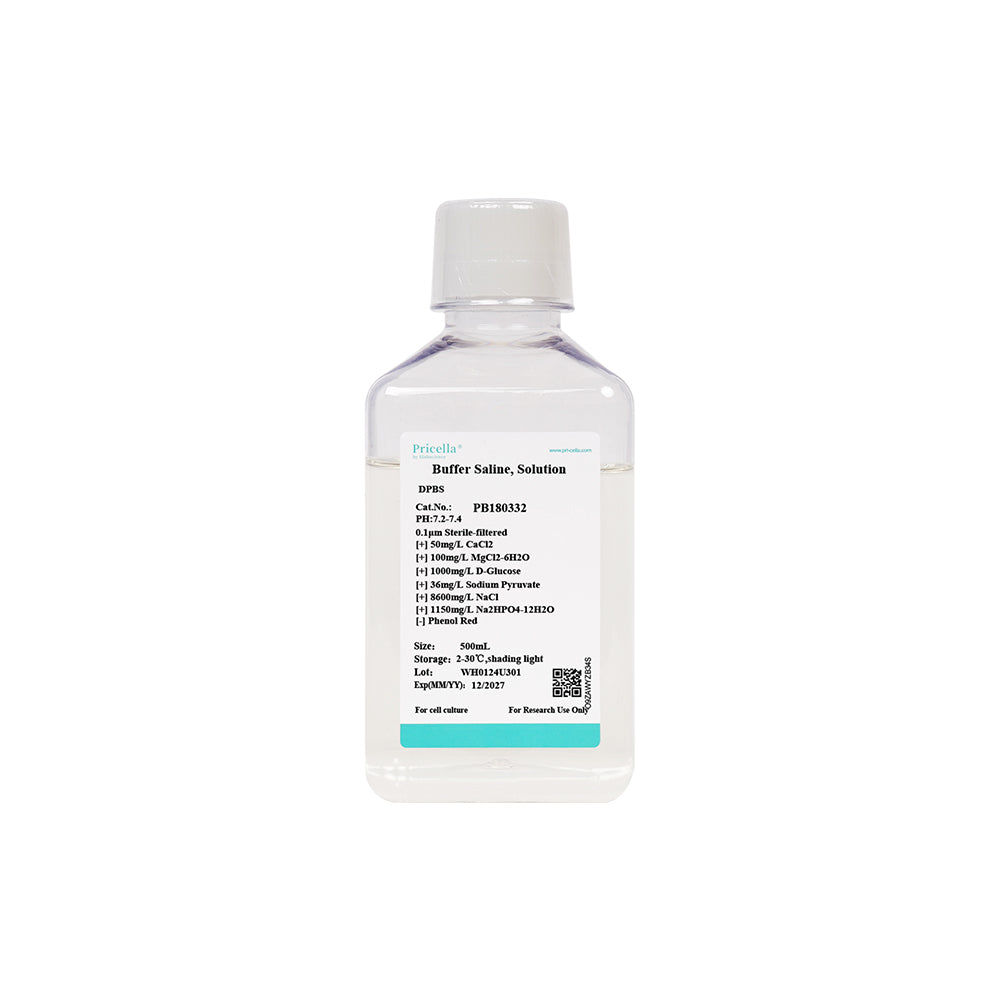 Dulbeccos Phosphatpuffer (DPBS, 1 ×), mit Calcium, Magnesium, Glucose, Natriumpyruvat, ohne Phenolrot, 500mL
