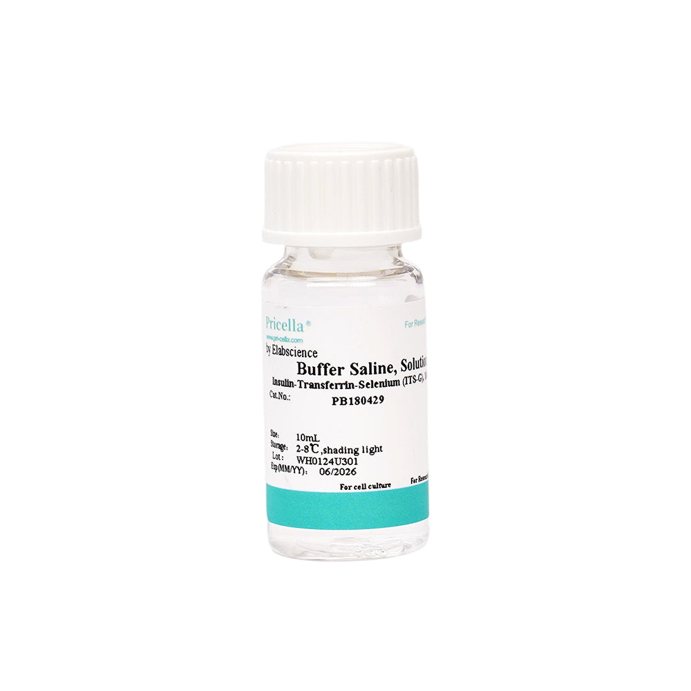Insulin-Transferrin-Selen (ITS-G), 100 ×, 10 ml