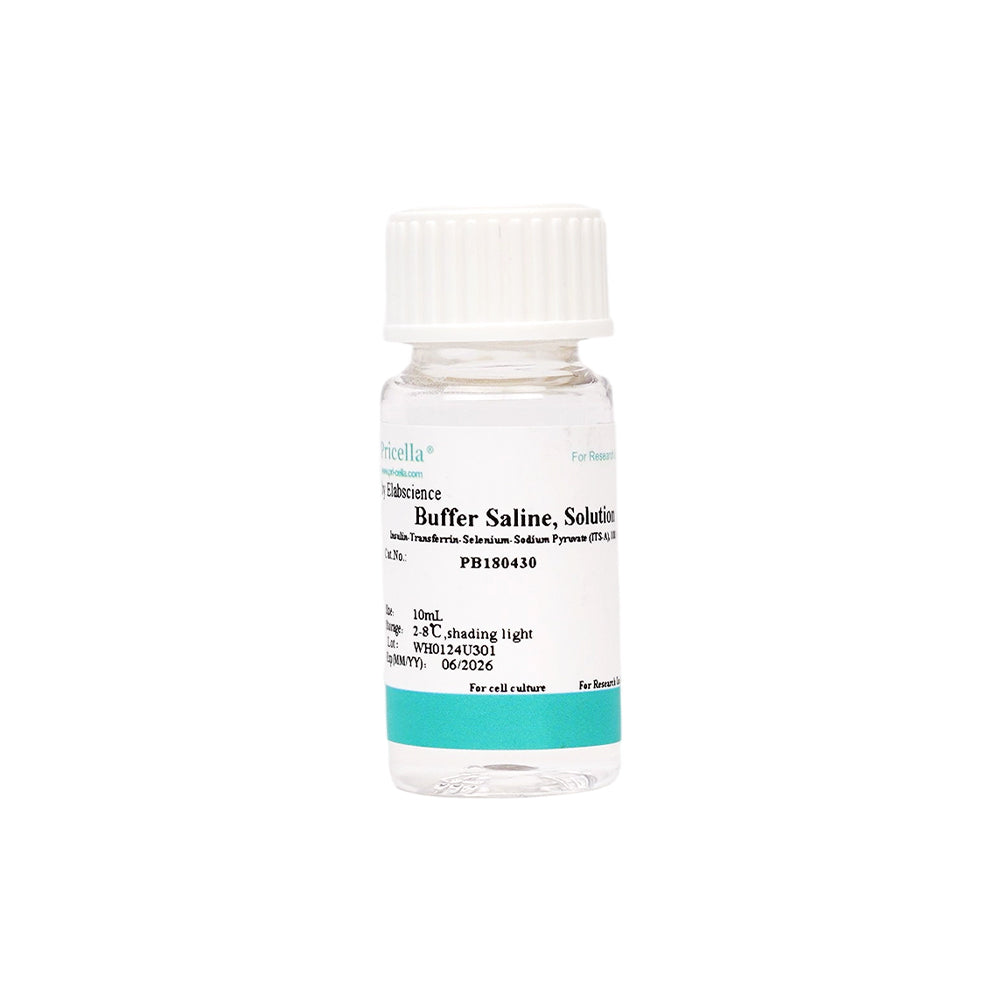 Insulin-Transferrin-Selen-Natriumpyruvat (ITS-A), 100 ×, 10 ml