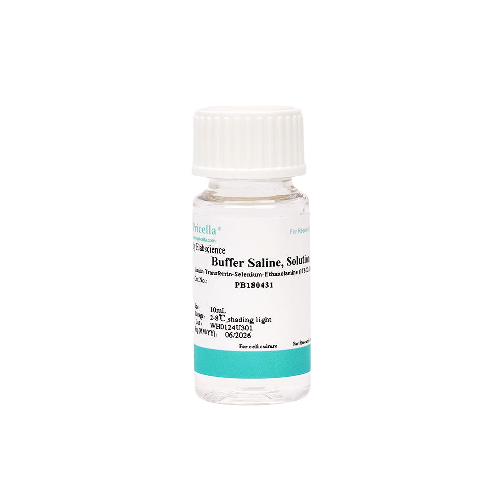 Insulin-Transferrin-Selen-Ethanolamin (ITS-X), 100 ×, 10 ml
