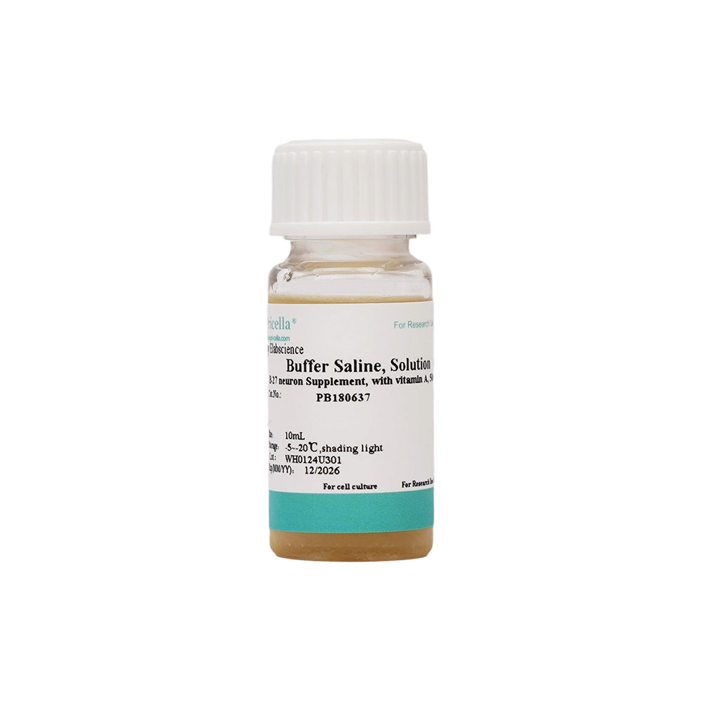 B-27×Neuron×Supplement, ×mit×Vitamin×A, 50 × , 10ml