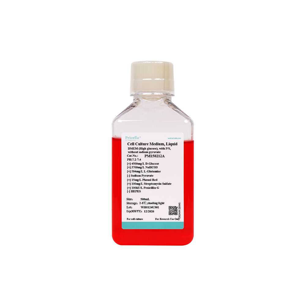 DMEM (hoher Glukosegehalt), mit P/S, ohne Natriumpyruvat, 500 ml