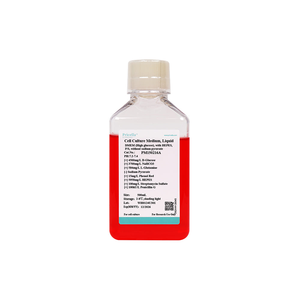 DMEM (hoher Glukosegehalt), mit HEPES, P/S, ohne Natriumpyruvat, 500 ml