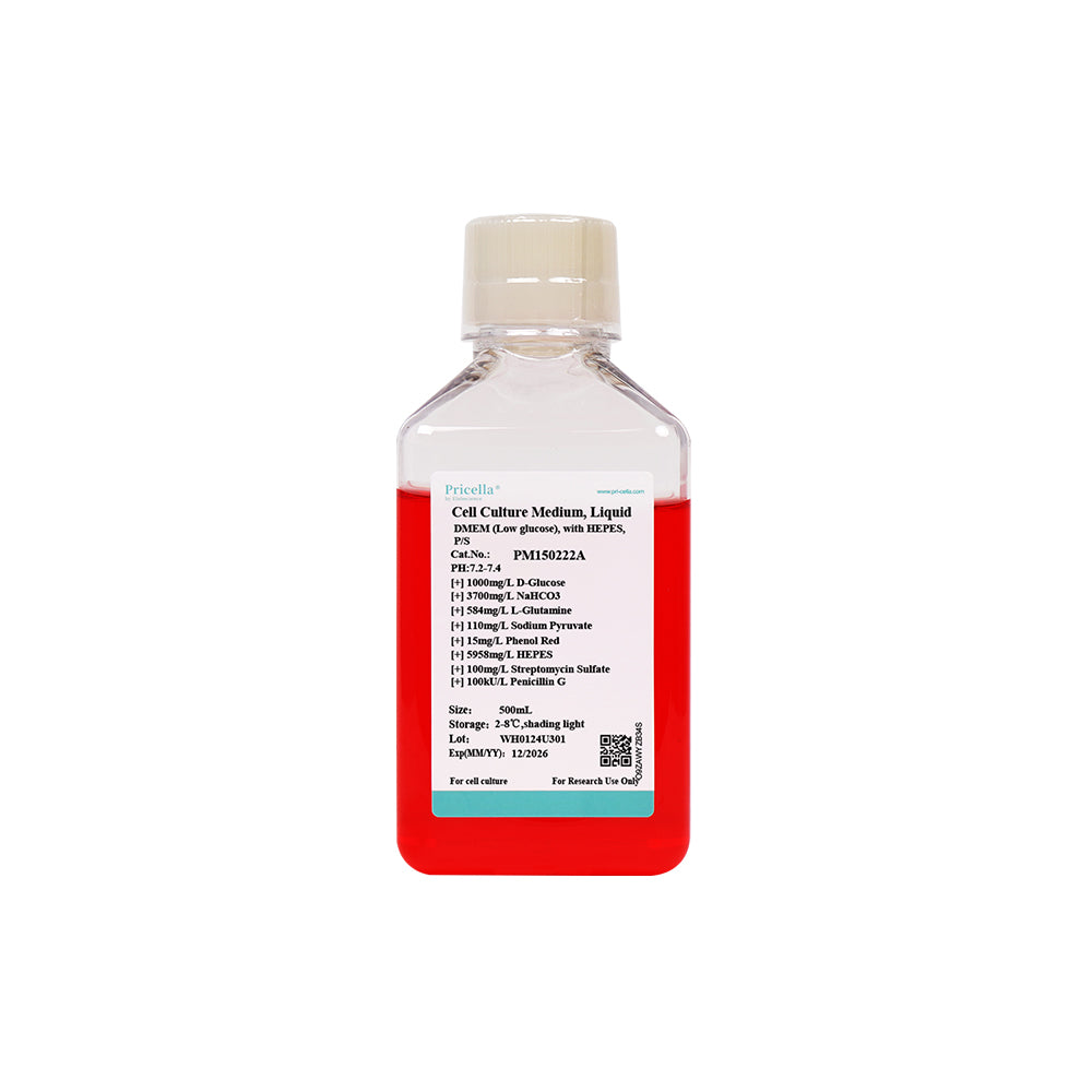 DMEM (niedriger Glukosegehalt), mit HEPES, P/S, 500 ml