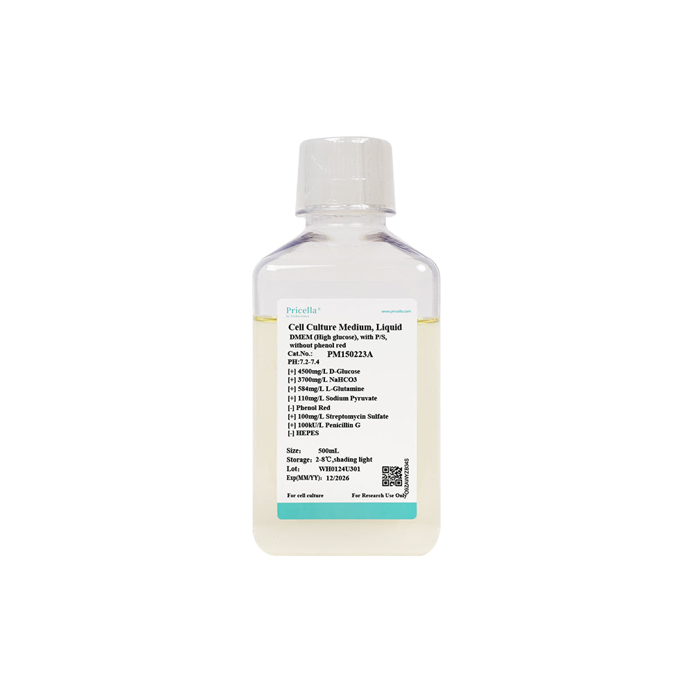 DMEM (hoher Glukosegehalt), mit P/S, ohne Phenolrot, 500 ml