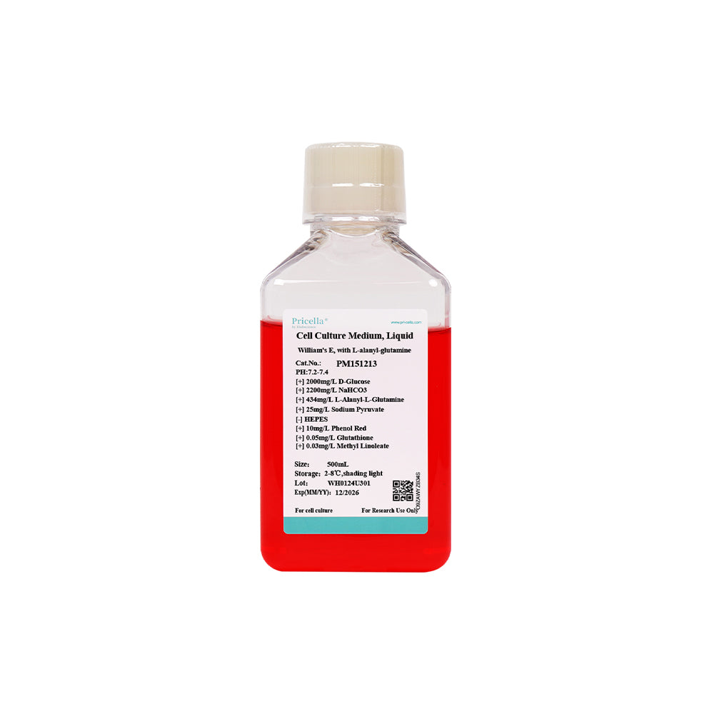 William's E, mit L-Alanyl-Glutamin, 500 ml