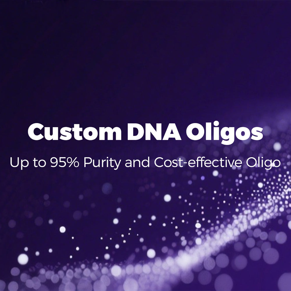 Custom DNA Oligos