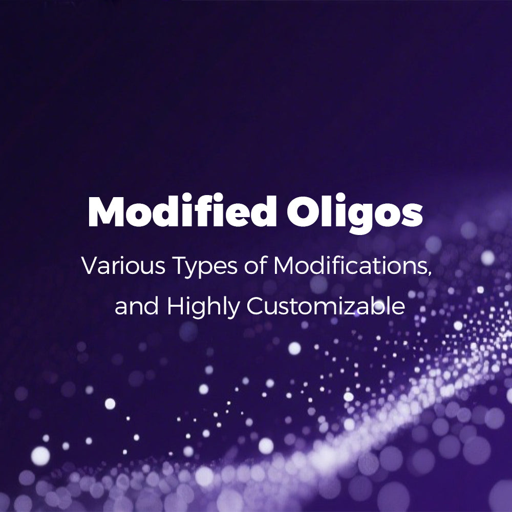 Modified Oligos