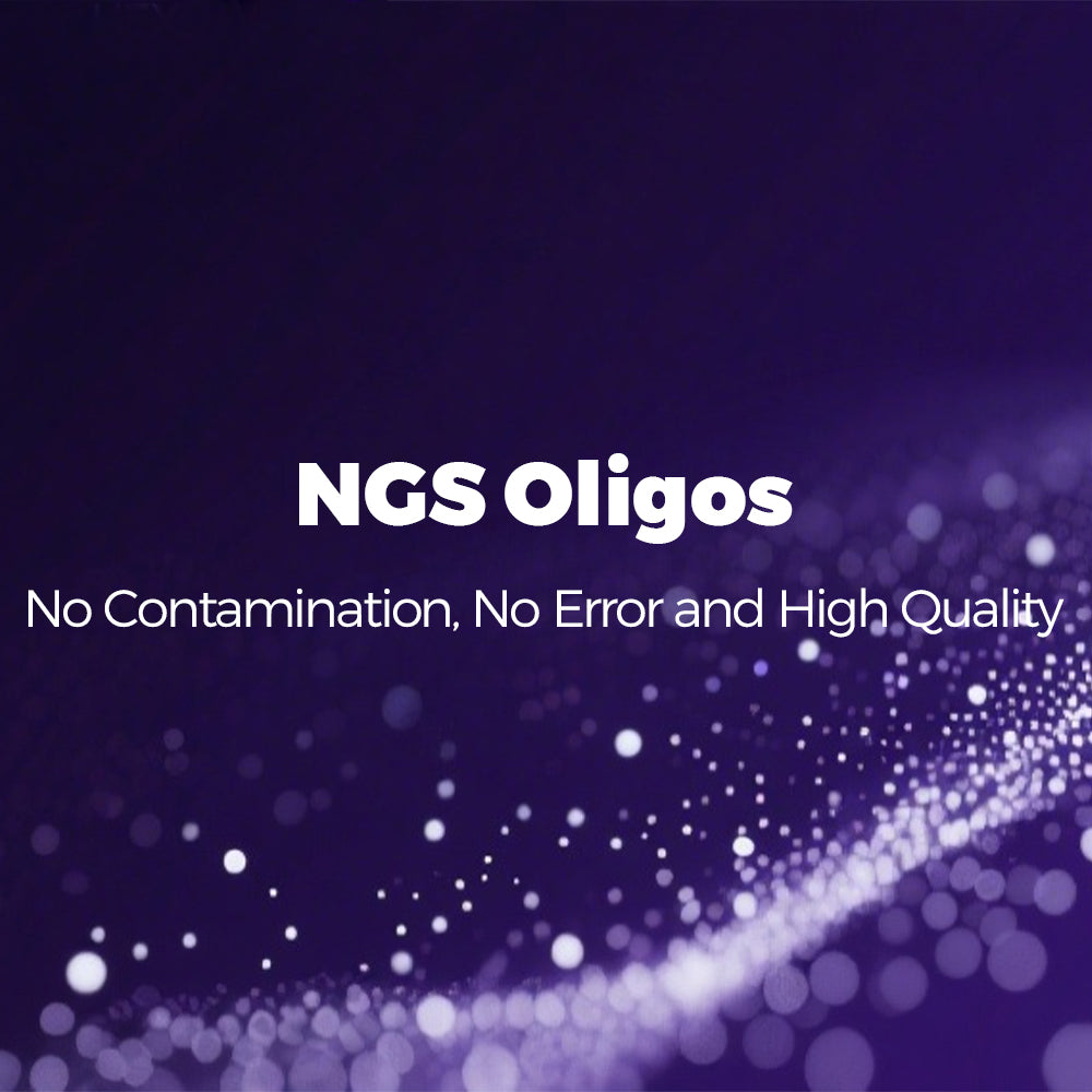 NGS Oligos