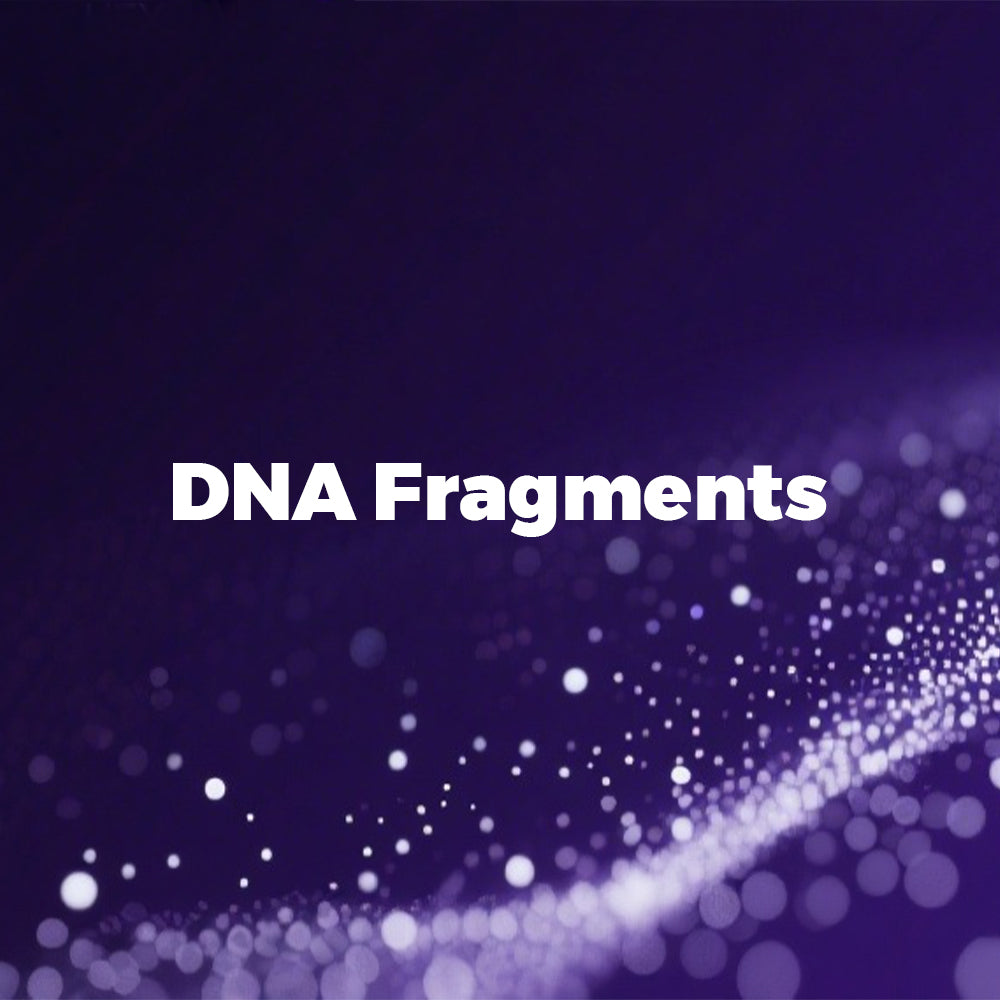 DNA Fragments