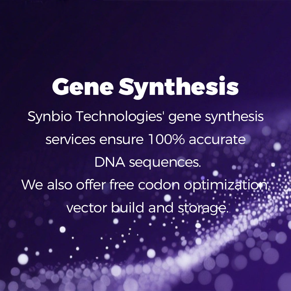 Gene Synthesis
