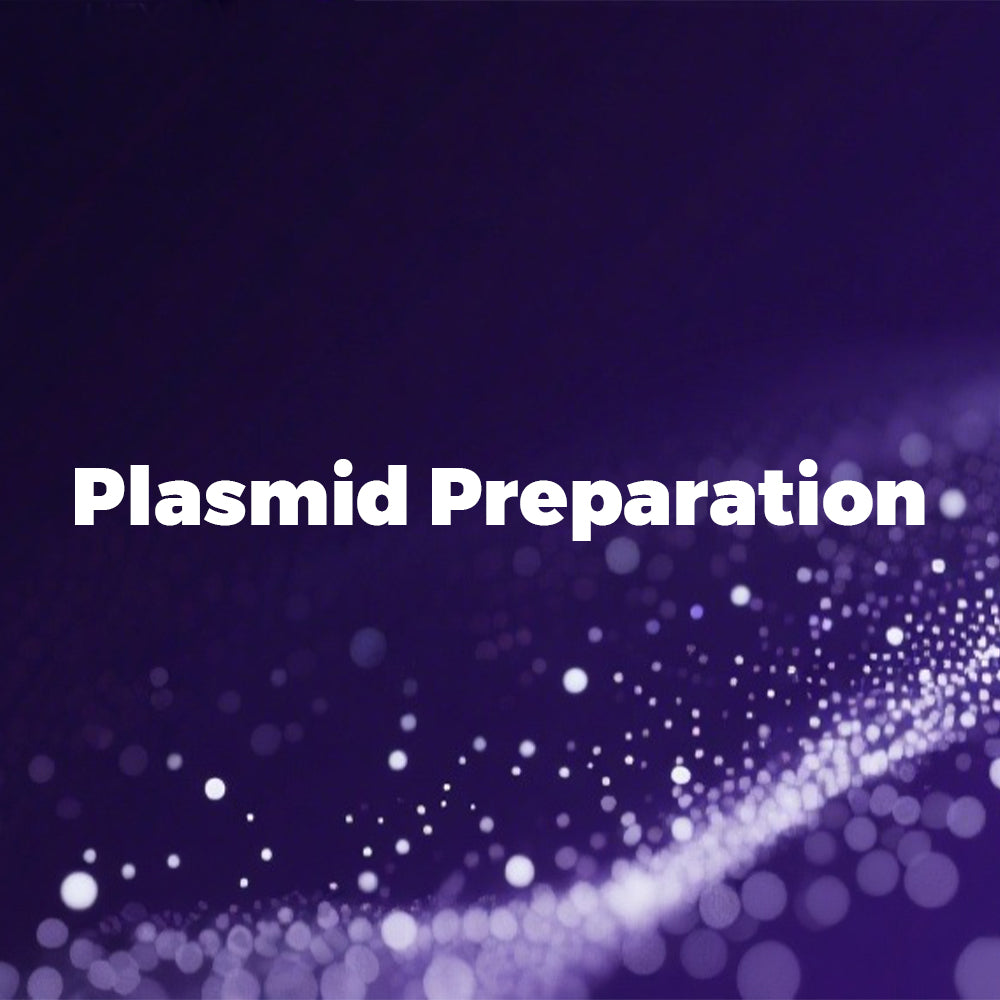 Plasmid Preparation