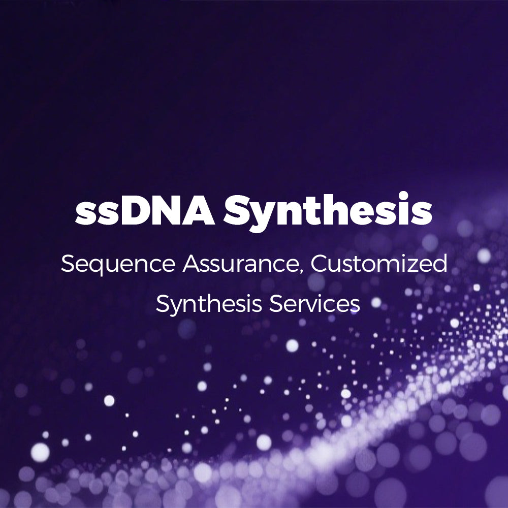 ssDNA Synthesis