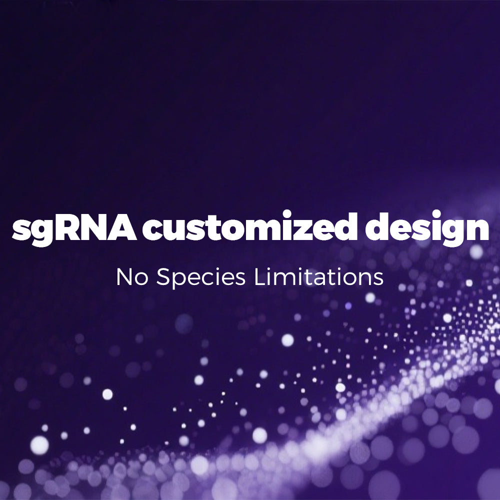 sgRNA customized design