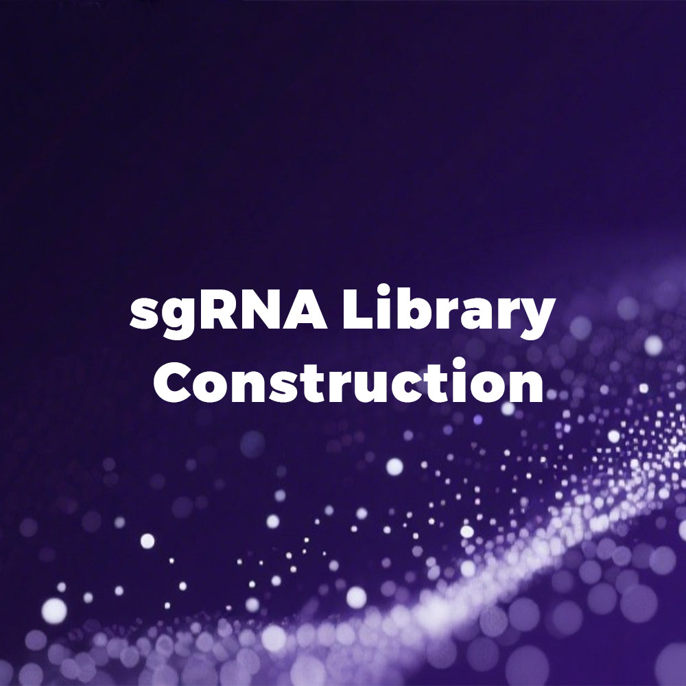 sgRNA Library Construction