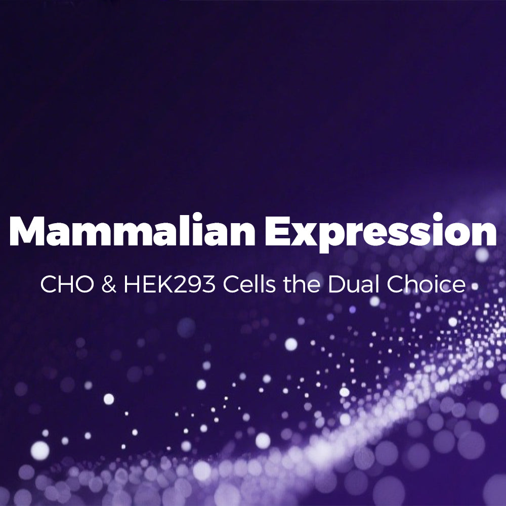 Mammalian Expression